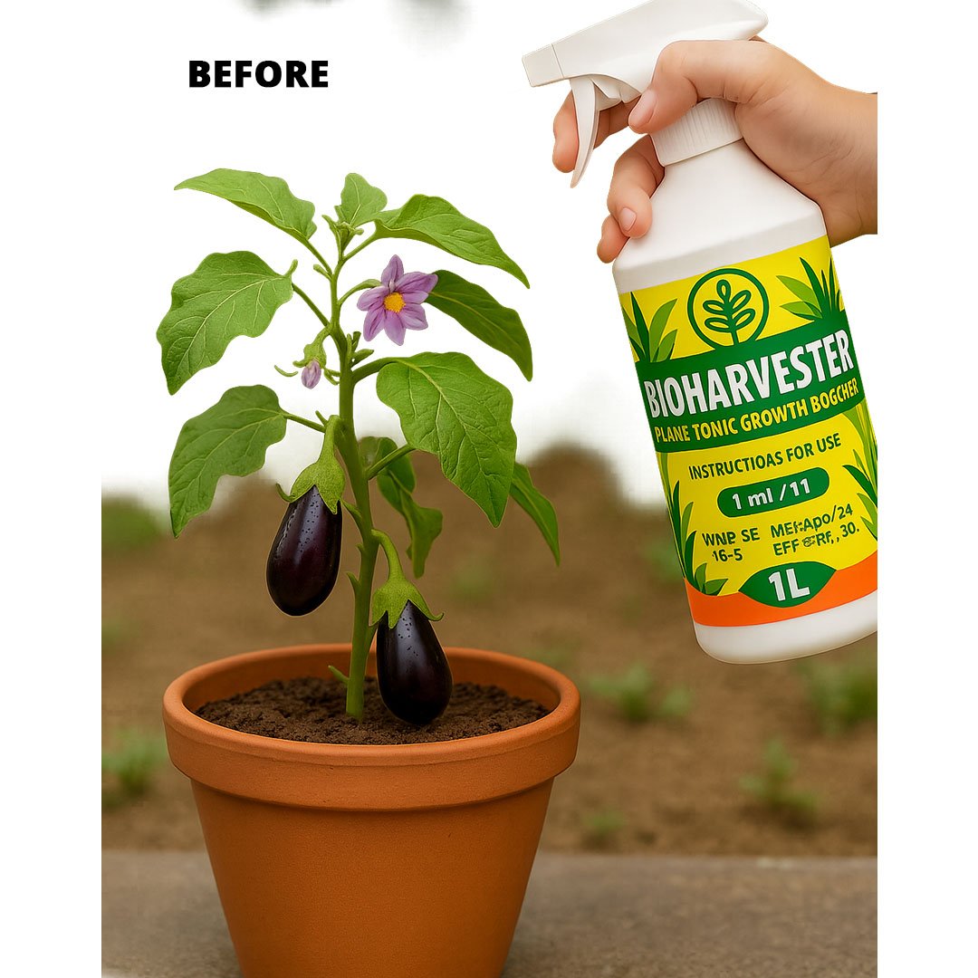 Bio Harvester - Image 2