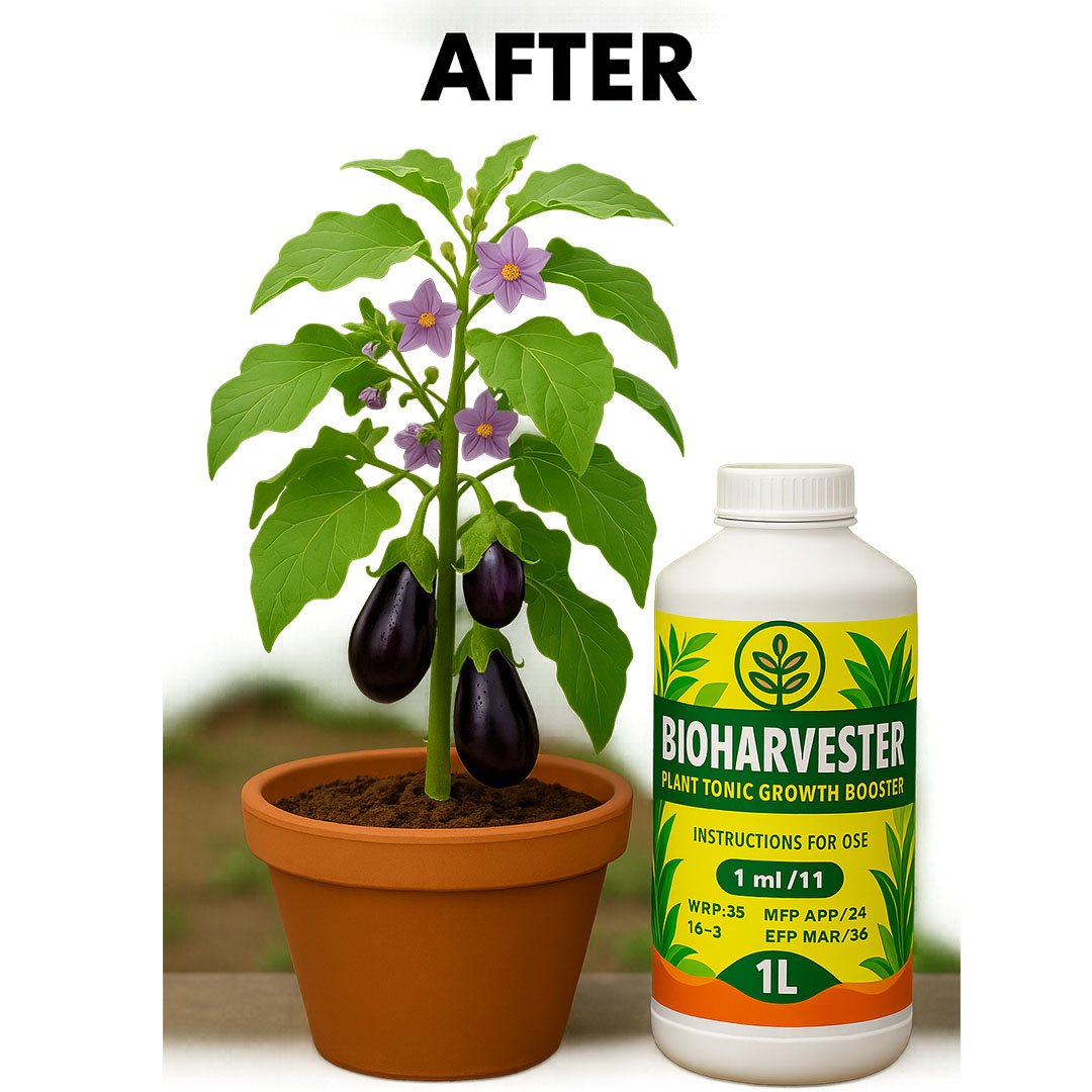 Bio Harvester - Image 3